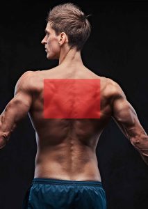 Maux De Dos Clinique Tagmed Montréal Terrebonne