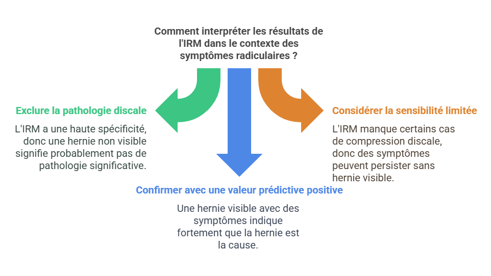 Hernie Discale : Pourquoi Les Professionnels De La Santé Minimisent Sont Importance Clinique Tagmed Montréal Terrebonne